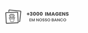 banner regua 04