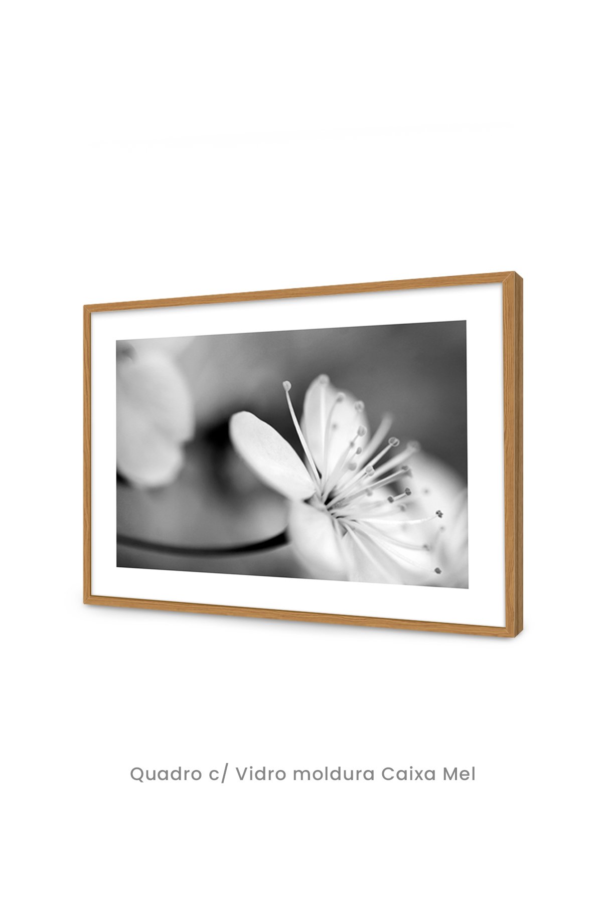 Quadro Decorativo Top Quadros - Botânico - B&W Flower II