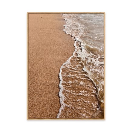 canvas pinus 1