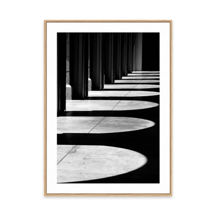 canvas pinus 1