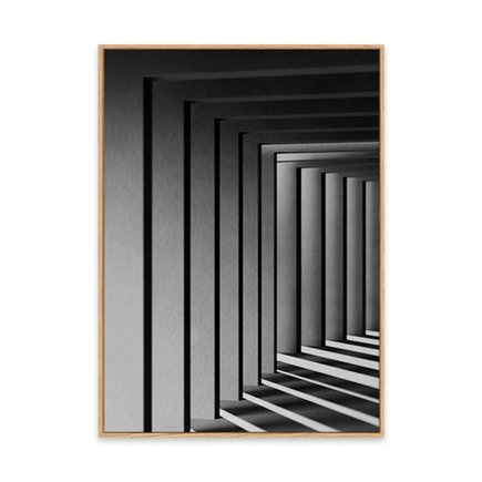 canvas pinus 1