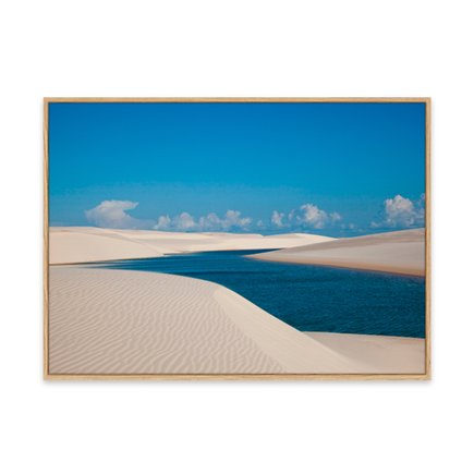 canvas pinus 1