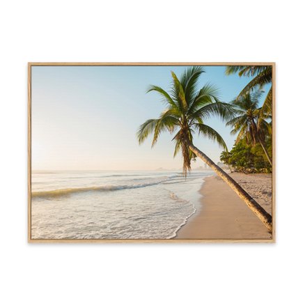 canvas pinus 1